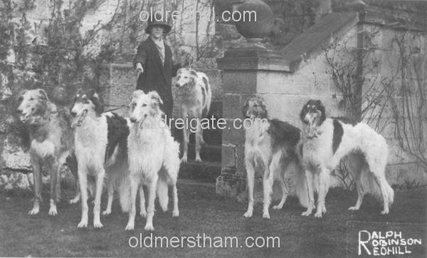 Image number 450&prevurl=publishers57