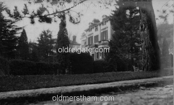 Image number 6228&prevurl=beechroad