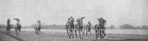 Image number 1907