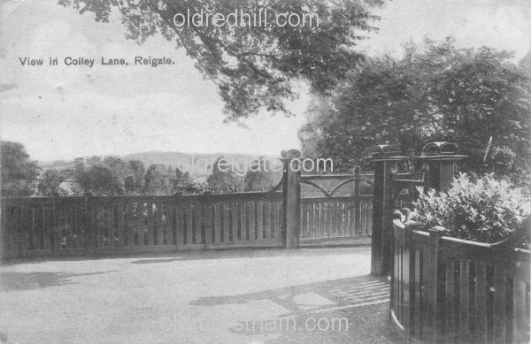 Image number 1096&prevurl=colleylane