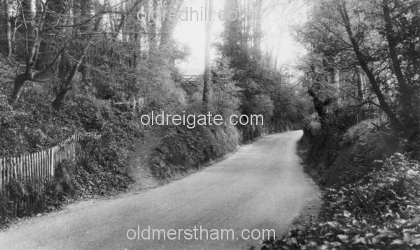 Image number 1114&prevurl=coopershillroad