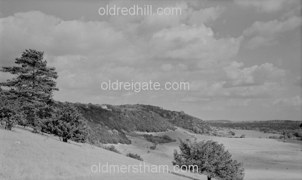 Image number 1194&prevurl=year1940