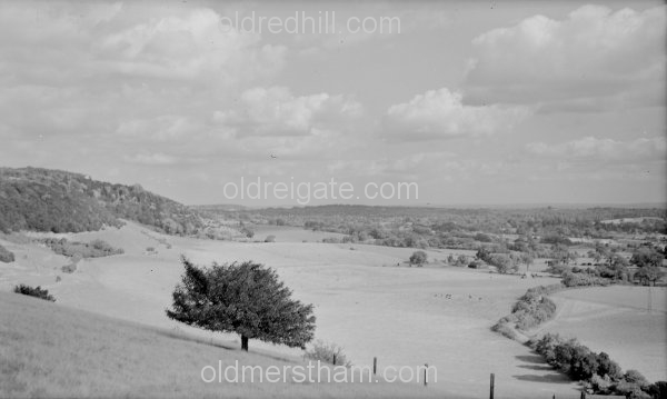 Image number 1198&prevurl=year1940