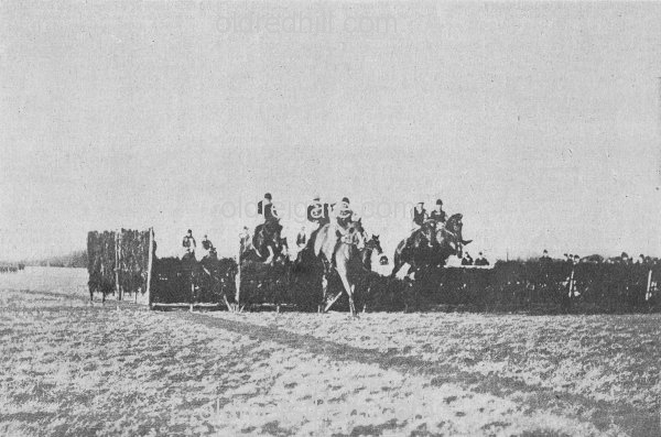 Image number 1911&prevurl=publishers58