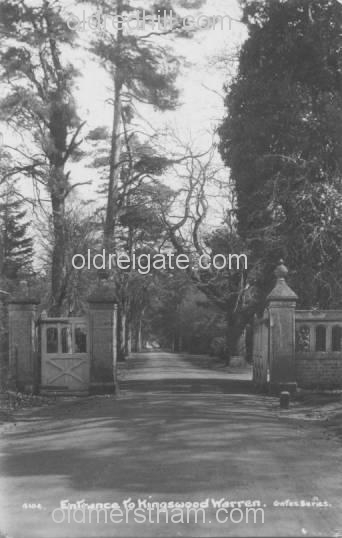 Image number 2709&prevurl=kingswoodwarren