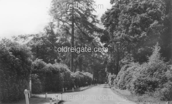 Image number 2711&prevurl=kingswoodwarren