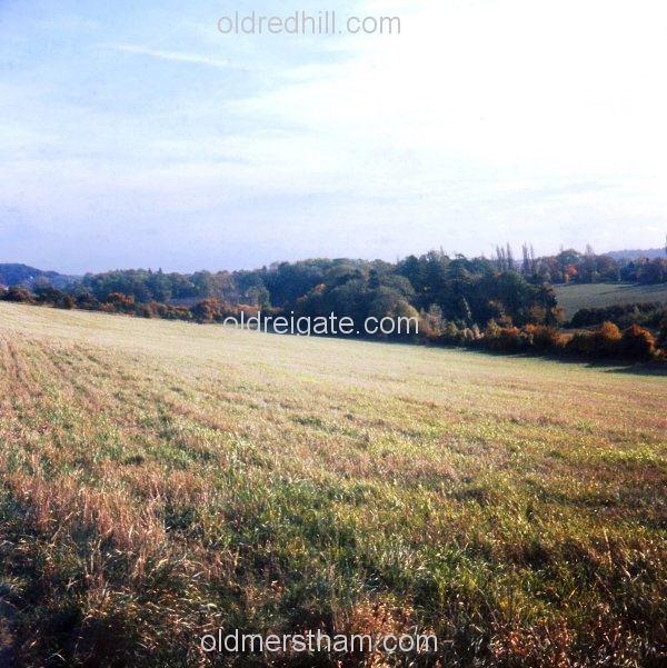 Image number 3074&prevurl=mersthamquarry2