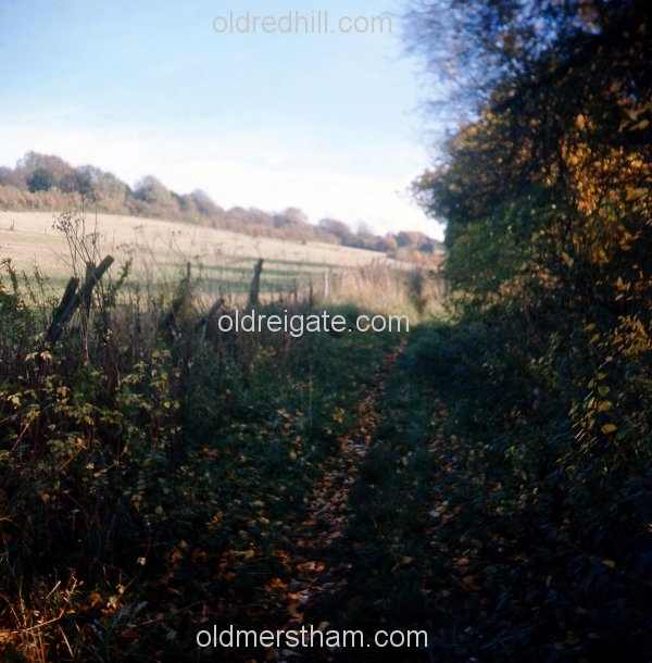 Image number 3075&prevurl=mersthamquarry2