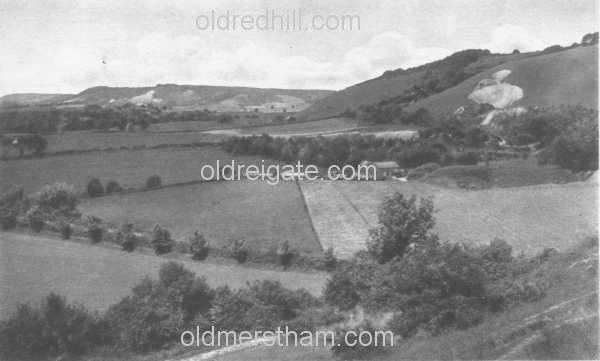 Image number 5520&prevurl=thedowns