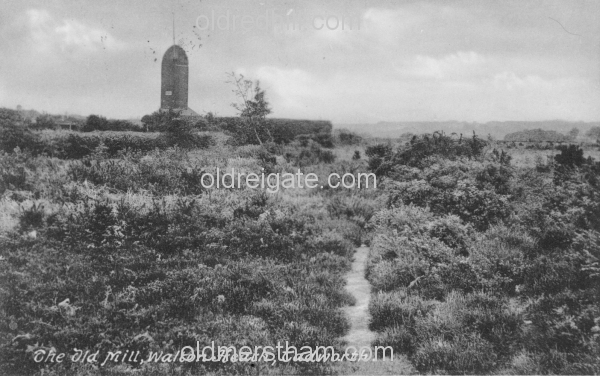 Image number 5687&prevurl=waltonheath