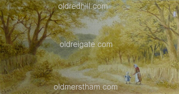 Image number 877&prevurl=chaspyne