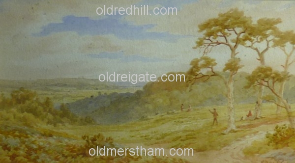 Image number 878&prevurl=chaspyne