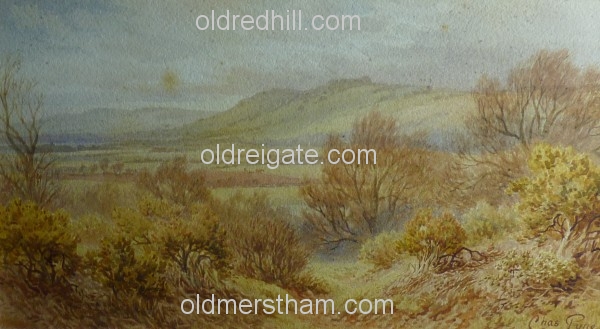 Image number 880&prevurl=chaspyne