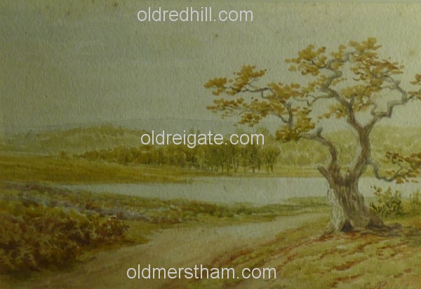 Image number 881&prevurl=chaspyne