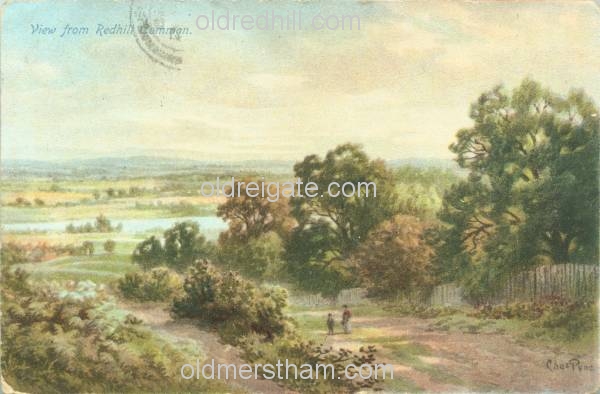 Image number 883&prevurl=chaspyne