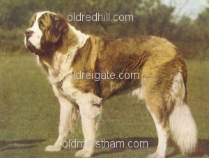 Image number 1