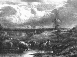 Image number 