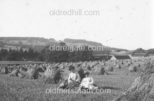 Image number 