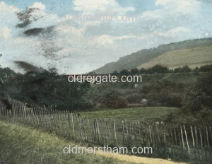 Image number 